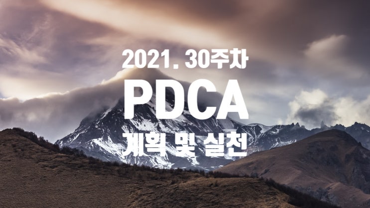  2021년 계획과 실천 30주차 점검 [파이어족이 되어간다]