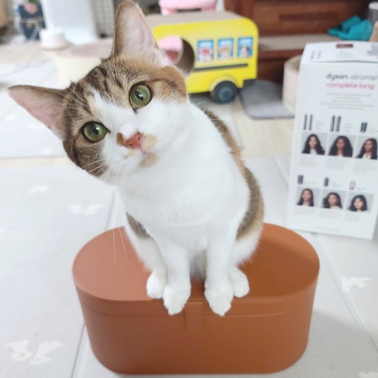  다이슨 에어랩 선물받았어요. 남집사의 선물. 여친선물추천.