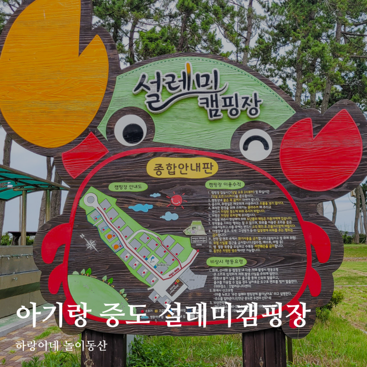  광주안과 서포터즈가 다녀온 신안 증도 설레미 캠핑장