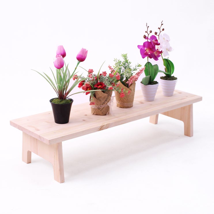 가성비갑 미르와나무 레드파인 원목 화분진열대 다육이선반 750 x 240 x 160 mm, 1단 ··· 가성비갑 미르와나무 레드파인 원목 화분진열대 다육이선반 750 x 240 x 160 mm, 1단 ···