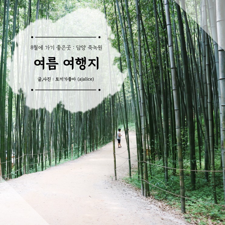 8월 국내 여행지 추천 : 죽녹원 주차 입장료 안내도 8월 국내 여행지 추천 : 죽녹원 주차 입장료 안내도