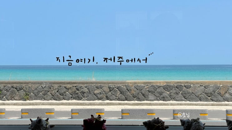  제주 구좌 카페: 바다가 보이는 세화해변 카페 카페공작소