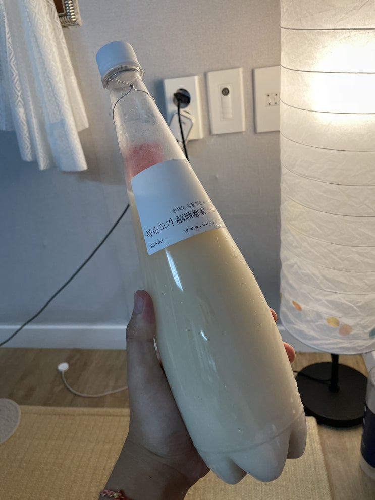  [전통주]나루 생 막걸리, 느린마을 막걸리, 복순도가, 동백꽃 제주 후기!