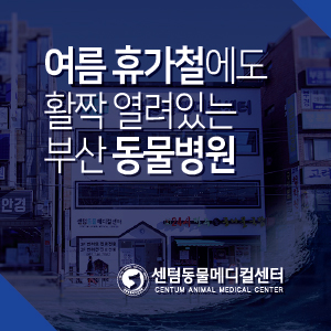  여름 휴가철에도 활짝 열려있는 센텀동물메디컬센터 (연중무휴 부산 동물병원)