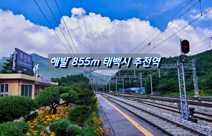 해발 855m 우리나라에서 가장 높은곳에 위치한 추전역 해발 855m 우리나라에서 가장 높은곳에 위치한 추전역