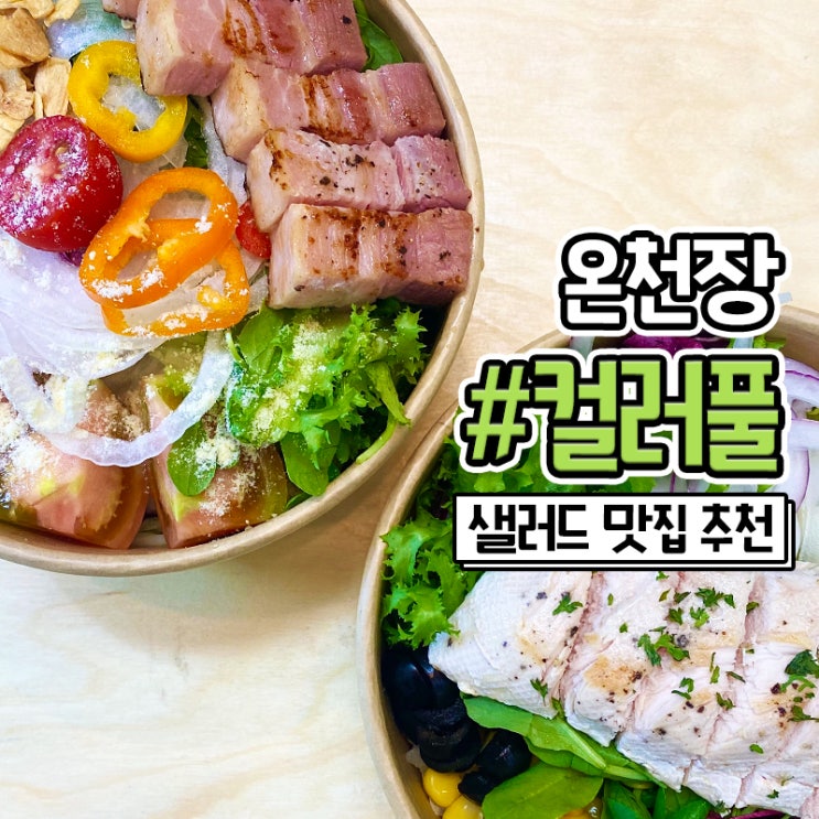  온천장 컬러풀한 동래 샐러드 포장 배달 맛집