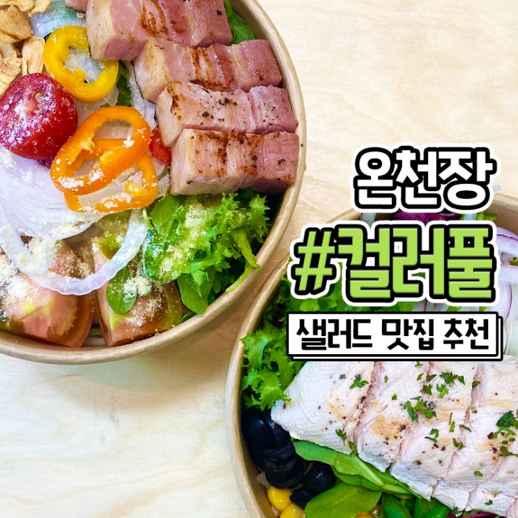 온천장 컬러풀한 동래 샐러드 포장 배달 맛집