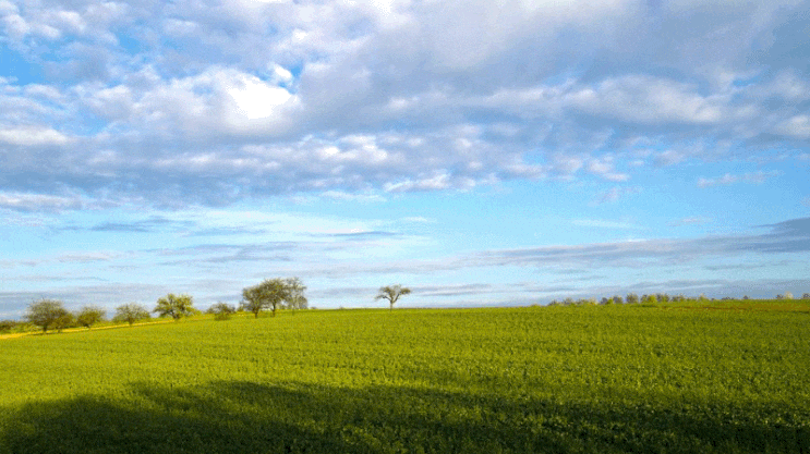  토지매입 전, 필수 확인 및 계약유의사항