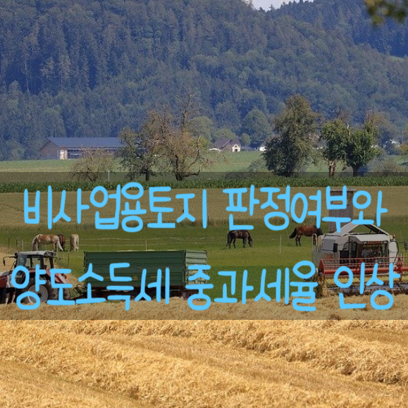  비사업용토지 판정 요건와 양도소득세 중과세율 인상
