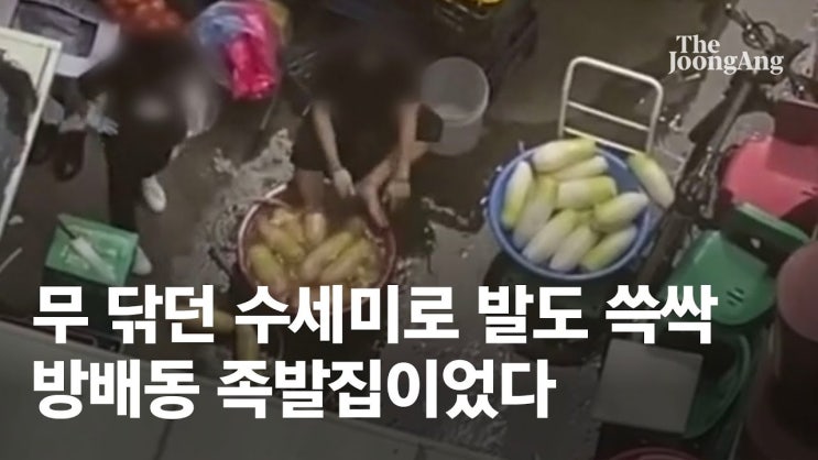  방배동 방배족발, 네이버와 카카오 온도차 그리고 뉴욕타임즈룰