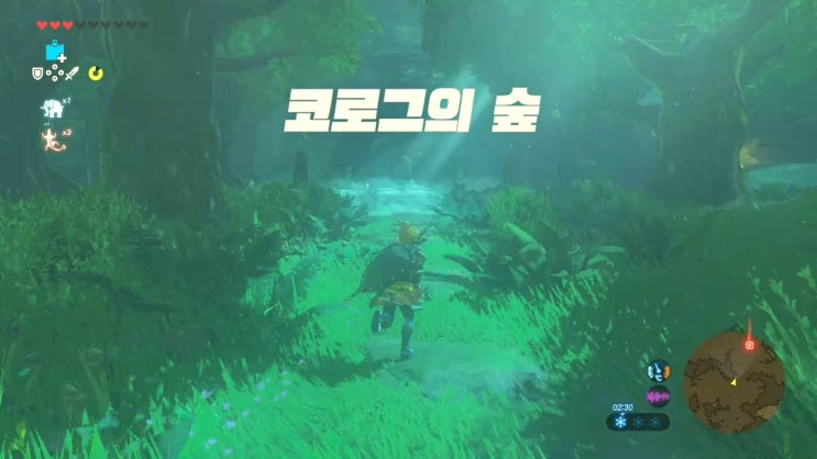  [젤다의전설 야생의숨결 공략] (106) 하이랄 대삼림 - 코로그의 숲