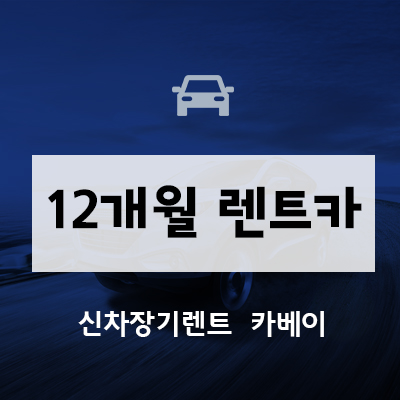  12개월 렌트카 이런 분들이 이용하셔야 합니다.