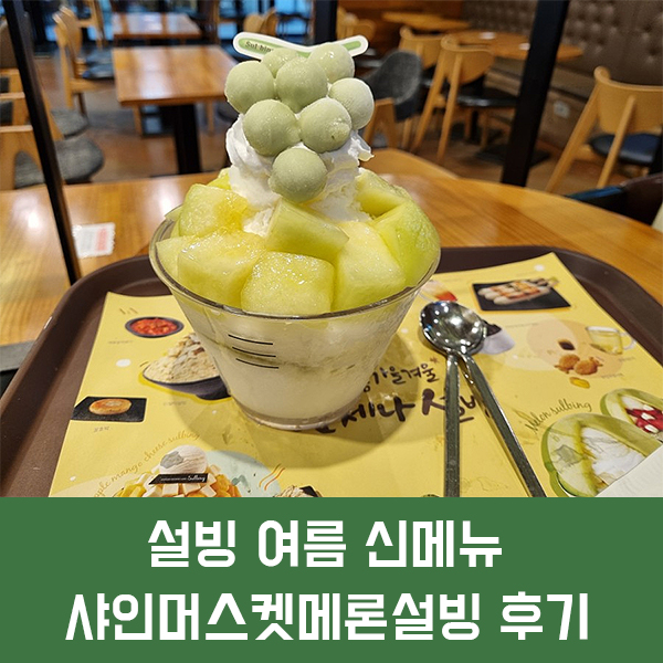  설빙 샤인머스켓메론설빙 후기, 가격, 칼로리/ 샤인머스켓의 존재감은 아쉽지만 전체적인 퀄리티는 훌륭한 설빙 신메뉴