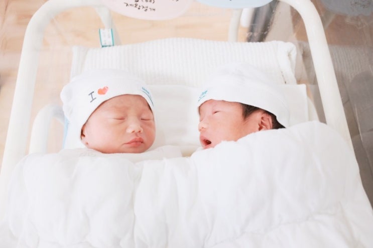  조이 앤 제프 5번째 생일 축하해주세요 :)