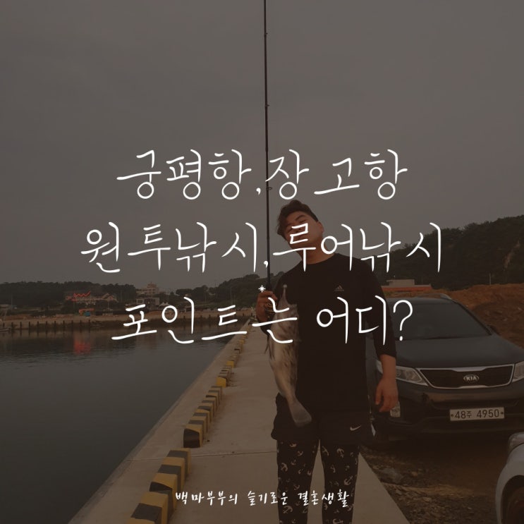  서해바다 낚시포인트 궁평항 장고항 밤낚시 포인트는 어디?