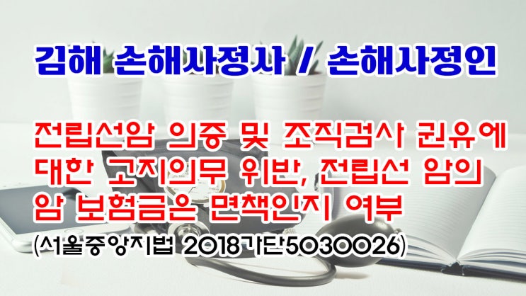 경남 김해 손해사정인 및 김해 손해사정사의 해박한 법리 해석과 자문상담