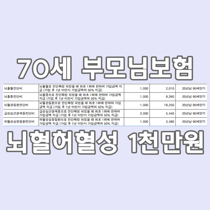  70세 뇌혈,허혈 부모님 고령자 실버보험