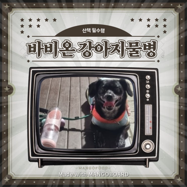 강아지산책시 바비온 휴대용 강아지 물병은 필수템 강아지산책시 바비온 휴대용 강아지 물병은 필수템