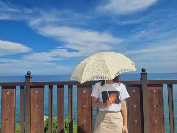  [동해 가볼만한곳] 도째비골 스카이밸리 & 해랑 전망대 풀코스로 즐긴 후기