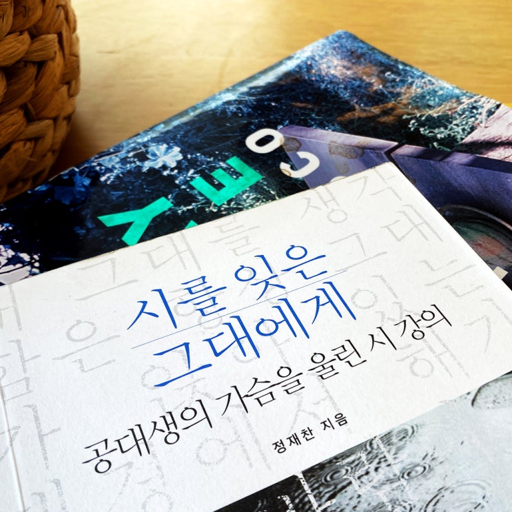  20대 책 추천 <시를 잊은 그대에게> 정재찬 교수의 시 강의 - 감성글귀 가득~!!