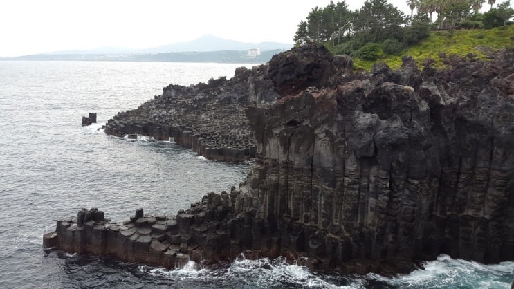 코로나 4차 유행중인 7말8초 여름휴가시즌, 제주도에서 숙소로 짐을 운반해주는 서비스 시작
