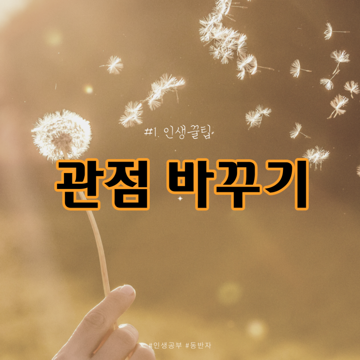  #1. 관점 바꾸기