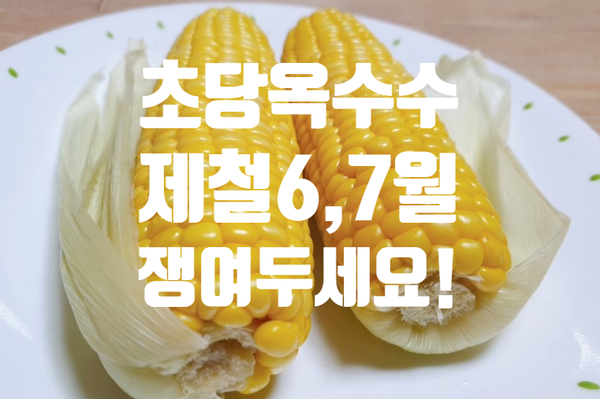  초당옥수수 1개 칼로리 제철이 끝나가요