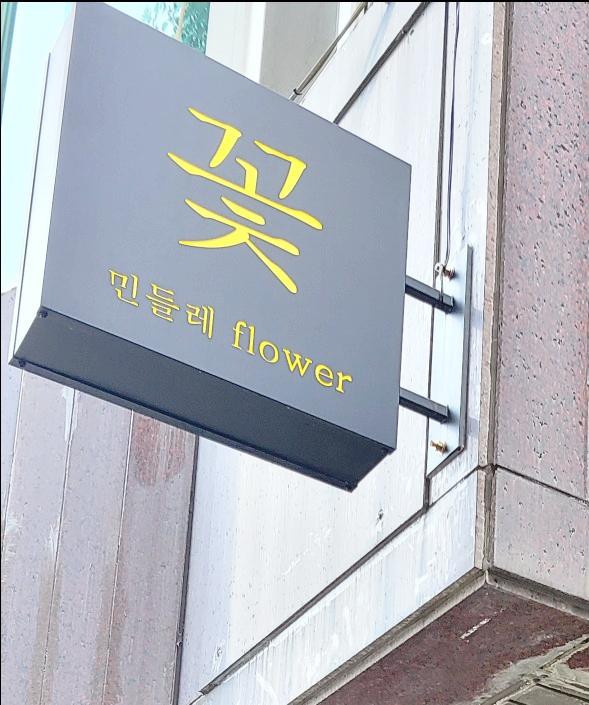  [일산꽃집]민들레/정발산꽃집