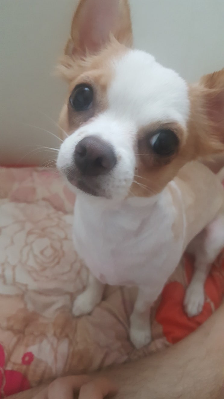  무야호 소리질러 !! 내일부터 여름휴가 ><