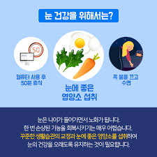 눈 건강 노안 생활습관 음식 영양소추천:루테인 글루타치온 비타민 칼슘