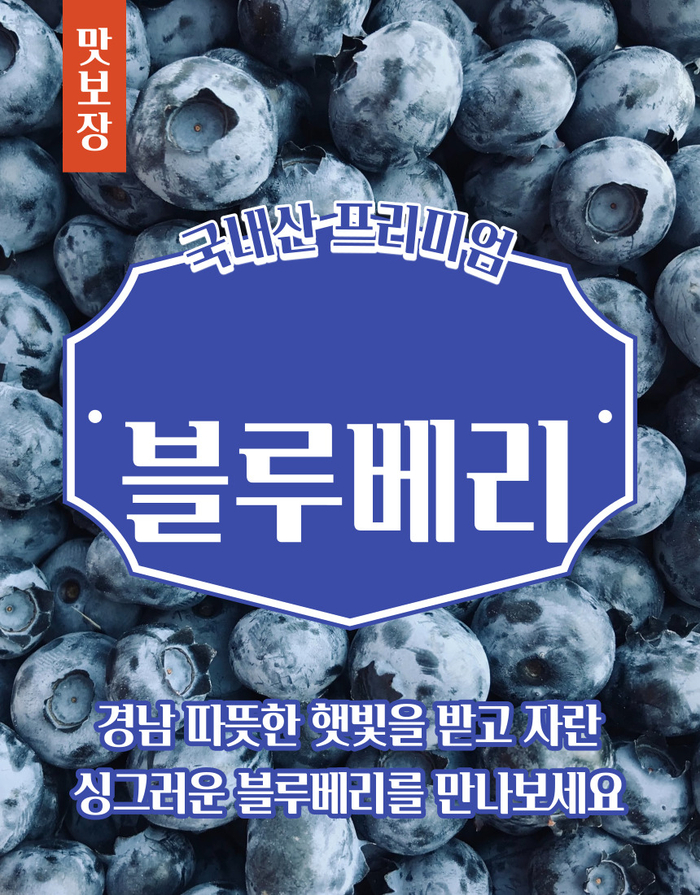  새콤달달~한 맛 좋은 생블루베리!