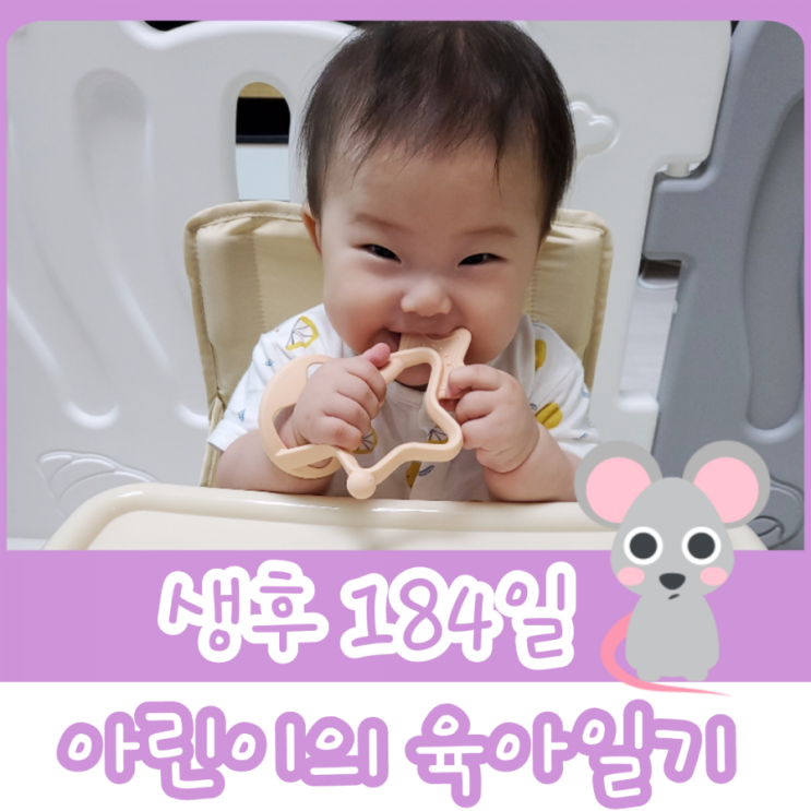  184일차 - 컵으로 물 마시기 / 혼자 놀기 / 초기 이유식 퓨레