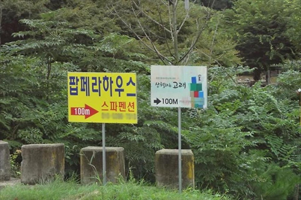 양평팝페라스파펜션 사진 4