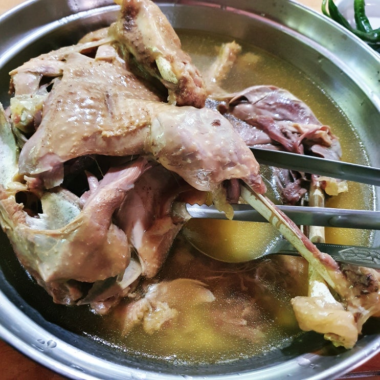  [제주]여행중 복날 몸보신, 연예인들도 찾는 맛집 제주 솔도토종닭