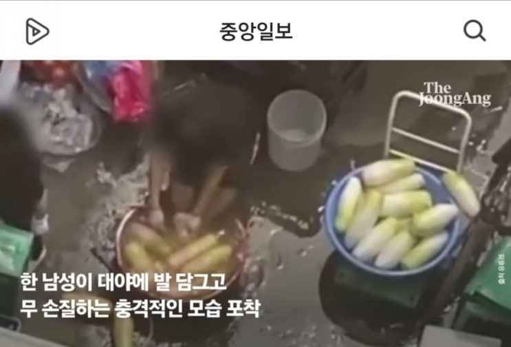  발 닦은 수세미로 무손질 하던 직원 딱 걸렸네! 방배동 족발집 영업정지/충격 영상 심장주의!!