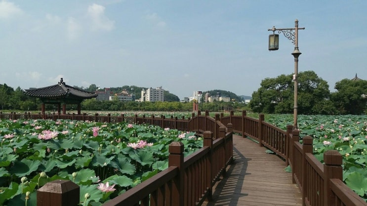 전주시, 22일 생태도시 종합계획 가이드라인 개선 워크숍 개최