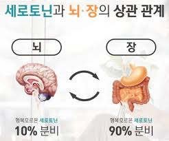  우울증극복 도움되는 비타민과 무기질 결핍증상:비타민B 아연 마그네슘 엽산효능