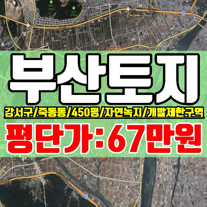  부산토지 강서구 죽동동 "답" 자연녹지,개발제한구역 450평 귀한 물건 대토,자경,텃밭 추천