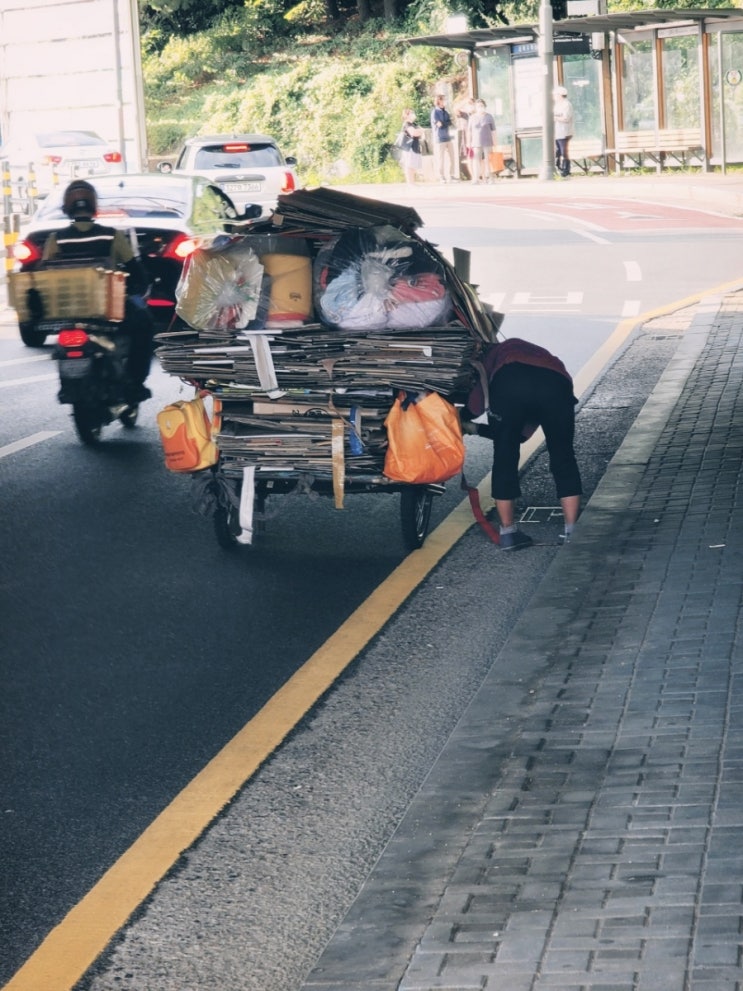길거리의 노인,폐지수거의 실상