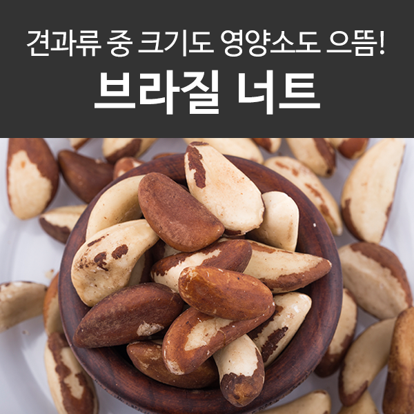 브라질너트 효능 및 먹는법 상세공개