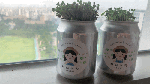  우리 집에 새싹이 왔다! [퍼니어캔] 홈가드닝 star~t!
