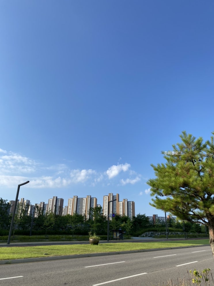  더워서 기절 / Faint from Heat
