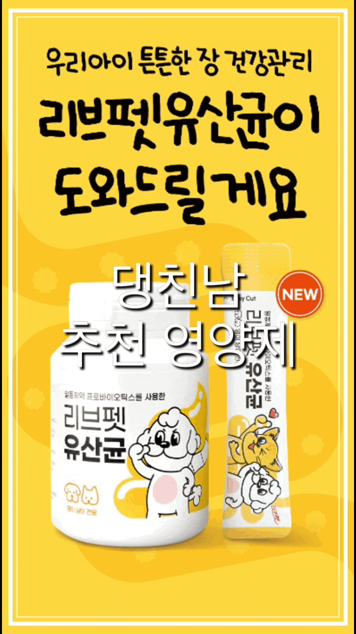  어린 강아지, 새끼 강아지 애견 추천 영양제 장 건강및 면역력 강화