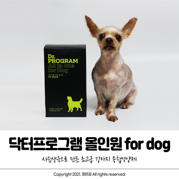 사슴생육으로 만든 닥터프로그램 올인원 for dog