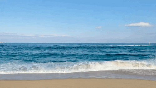  아이폰으로 GIF 움짤 쉽게 만들기