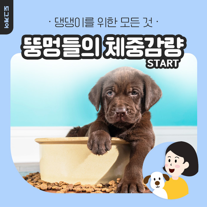  비만 강아지 체중관리 체중감량 방법