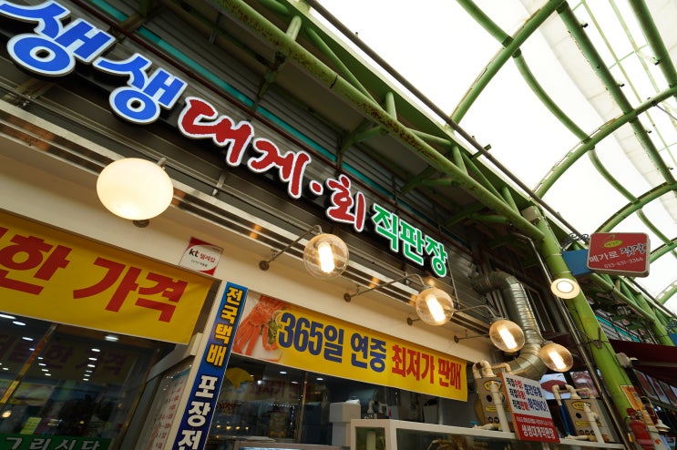  속초 중앙시장 킹크랩 살수율 제대로 맛보고 왔네요