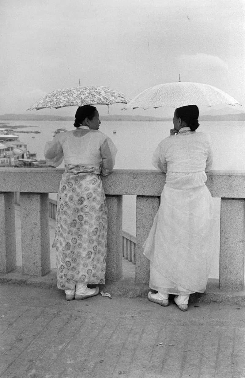 채소밭, image size:800x1231