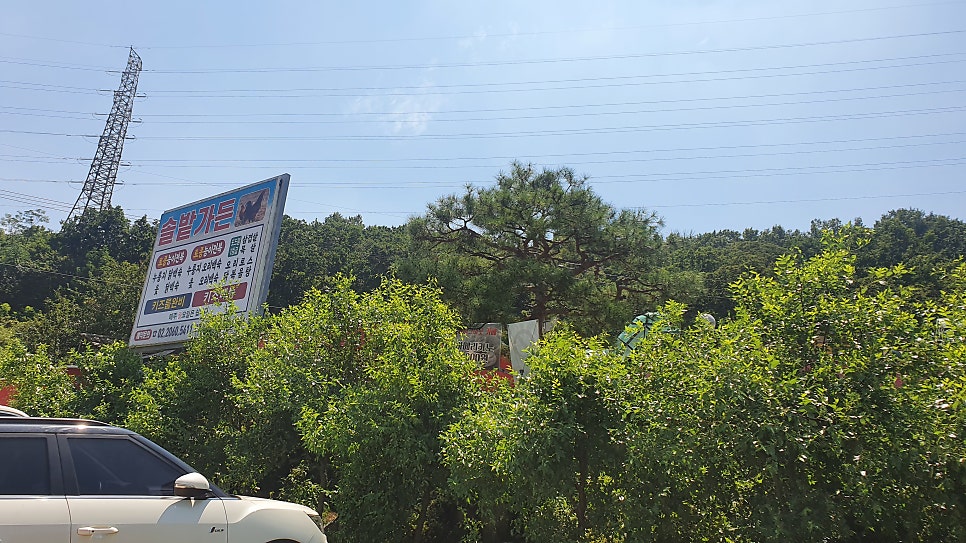 솔밭가든 시흥본점 사진 3