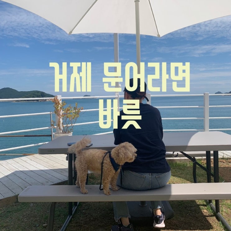  [거제 바릇] 거제해물라면/문어라면. 애견동반맛집. 바다뷰맛집